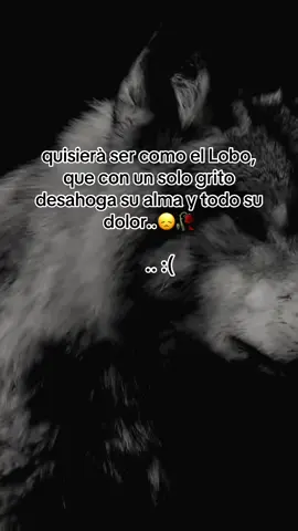 #paratiiiiiiiiiiiiiiiiiiiiiiiiiiiiiii #viralvideo #tiktok 