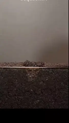 #مواعظ_دينيه_جميلة 