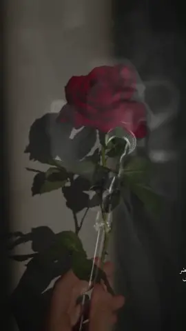 #حسام_الرسام #مجرد________ذووووووق🎶🎵💞 #تصميم_فيديوهات🎶🎤🎬 #تصميمي 