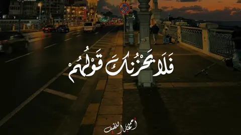 فلا يحزنك قولهم ❤️ . #quran #قرأن #قران #طه_النعماني #الشيخ_طه_النعماني 