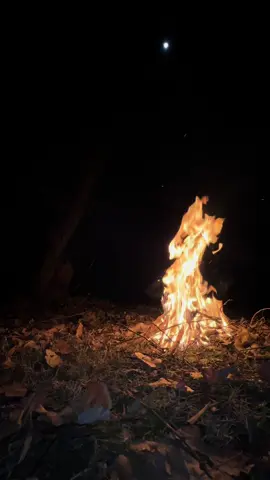 Spogmai che zee no janan ta wayaa🫠 | Fayaz lala🍂🍂 #pashtosong #ghanikhanpoetry #fayazkheshgi🥃🍾 #foryou #viral 