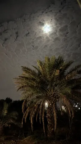 #اجواء_الشتاء #المدينه_المنوره 