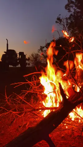 #شعراء #شعراء_وذواقين_الشعر_الشعبي #شعراء_وذواقين_الشعر_الشعبي🎸 #شتاوي_وغناوي_علم_ع_الفاهق❤🔥 #شتاوي_غناوي_علم_ليبيه 