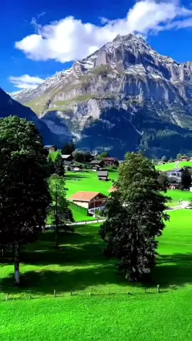 # تمھیں دل سے کیسے جدا ہم کریں گے#vediovairal #follwme #enjoyyy #foryou 