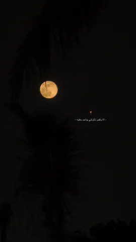 #اكسبلورexplore #اكسبلور_تيك_توك #قمرا #مالي_خلق_احط_هاشتاقات 