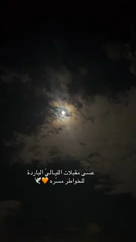 #اكسبلورexplore #هاشتاقات_تيك_توك_العرب #المفرق_الاردن_عمان #شيلات #مجرد________ذووووووق🎶🎵💞 