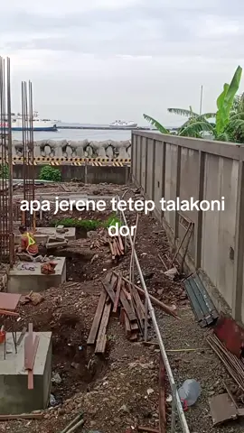 #creatorsearchinsights 