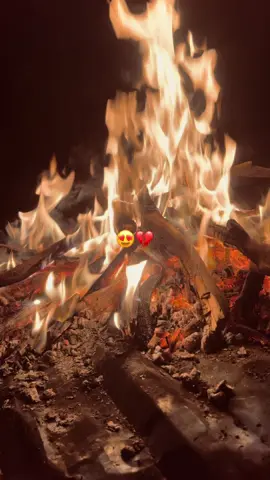 #عزدين__شلفي__ربي_يرحمو #parati #fypシ゚ #الشعب_الصيني_ماله_حل😂😂 