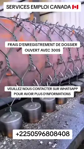 #canada #fyppppppppppppppppppppppp #immigrantparents #gabonaise🇬🇦🇬🇦 #govirall 