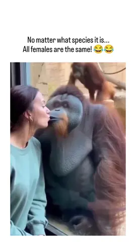 The look at the end 😂