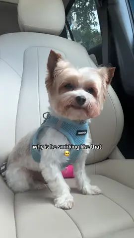 He’s such a distinguished gentleman ✋🏼