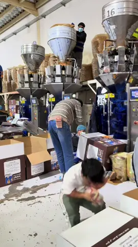 حرامي #مسكوف_ابو_جنة 