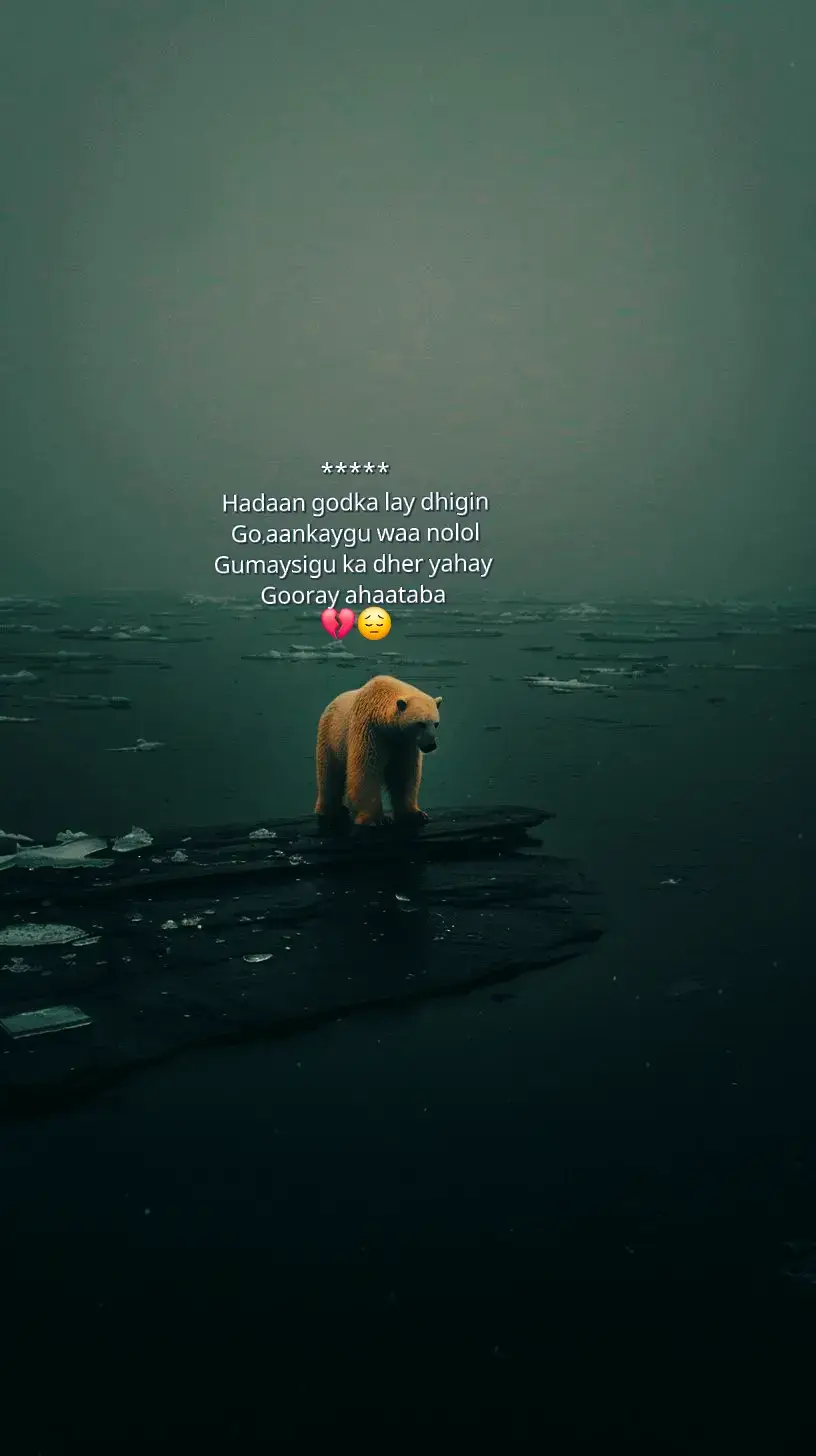 #💔😔 @Maankey Xigmaawi✍️ 