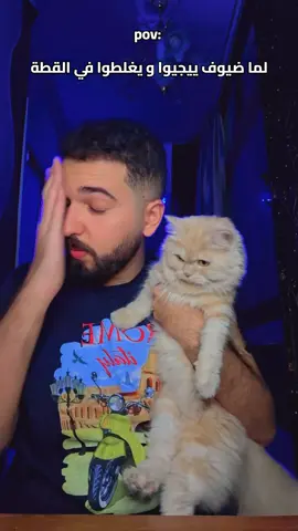 القطة خط احمر 🙂🙂🙂🙂🙂🙂 #foryou #omarmansour #catlover #catsoftiktok #pet 