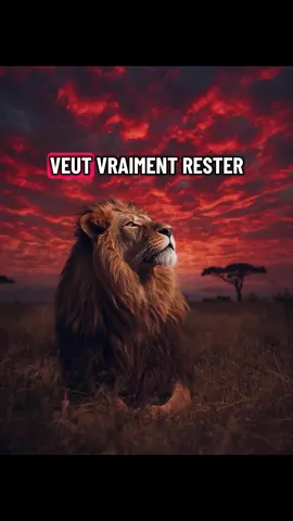 #motivation #conseil #citation #reussite 