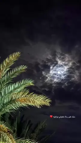 #قصيده #شعر  #غزل #حب #♥️ 