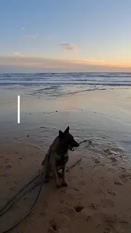 Aujourd’hui, je choisis la paix, la force et la douceur pour moi-même 🙏