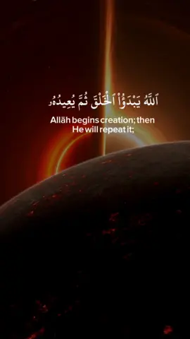 #إليك أقوى وأنظف هاشتاقات مخصصة 100% لمحتوى القرآن الكريم (تيك توك – إنستقرام ريلز – يوتيوب شورتس) في 2025، مقسمة حسب القوة والاستخدام: ### هاشتاقات عملاقة (تجيب ملايين المشاهدات بسرعة) #quran #قرآن #قرآن_كريم #القرآن_الكريم       ### هاشتاقات عربية قوية جدًا للقرآن (أكثر من 200 مليون مشاهدة لكل واحد)              ### هاشتاقات نيش خاشعة لكنها متفجرة (منافسة ضعيفة + ظهور سريع)                                  ### هاشتاقات حسب القارئ (لو بترفع تلاوات مشاهير)           ### مجموعات جاهزة تنسخها مباشرة (2025): للتلاوة الخاشعة الهادئة:            للآيات المؤثرة مع مناظر طبيعية:           لرفع سورة كاملة (مثل البقرة أو الكهف):           ### نصيحة ذهبية لمحتوى القرآن 2025: - استخدم 8–11 هاشتاق فقط في كل فيديو   - ضع أهم 3 هاشتاقات في أول الوصف، والباقي في أول تعليق   - أضف دايمًا  +  +  + هاشتاق نيش خشوعي   - المحتوى القرآني ينتشر أكثر لما يكون الصوت نقي والصورة هادئة (مطر، غروب، بحر، مسجد) جرب المجموعة دي أسبوع وإن شاء الله تشوف انتشار غير طبيعي بإذن الله   لو قلت لي أي سورة أو قارئ مفضل عندك أسوي لك هاشتاقات أدق وأقوى من كذا بمليون مرة!