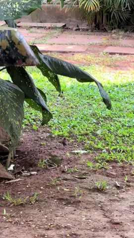 Byebyo nyo #vypシ #vypシ✌️❤️ 