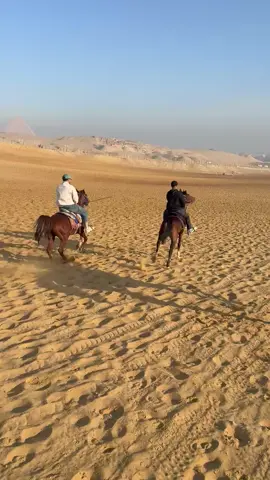 🐎🔥☝🏻#اسطبل_حريقه🔥 #خيل_وخياله🐎 #ركوب_الخيل #fypシ゚viral #fyyyyyyyyyyyyyyyy 