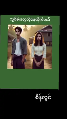သူစိမ်း‌‌တွေလိုနေလိုက်မယ်။ စိန်လွင်။ #foryou #fyp #myanmarmusic #originalsong #viraltiktok