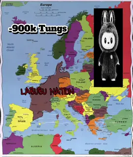 #viral #fyp #meme #labubunation 