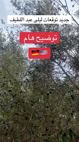 #عبد_اللطيف_ليلى #توقعات #germany #فرنسا🇨🇵_بلجيكا🇧🇪_المانيا🇩🇪_اسبانيا🇪🇸 #usa 