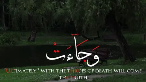 #ترند #viral #قران_كريم #اكسبلور #قران 