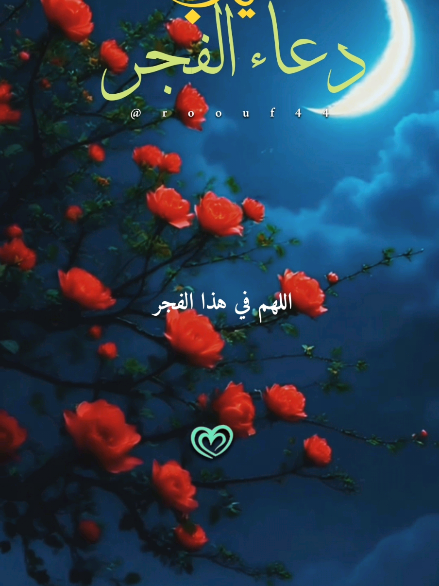 دعاء الفجر  6:12.2025 🌺🌺🌤 اللَّهُمَّ في هاذا الفجر يارب 💝💝🌹🌹 #دعاء #الفجر #دعاء_يريح_القلوب  #اللهم_امين_يارب_العالمين #اللهم_صلي_على_نبينا_محمد   دعاء الفجر يوم السبت يارب   🤲🤲🕋🕋🤲🤲