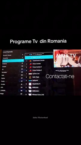 #fyp #viral #canaleromanesti #diasporatiktok #protv 