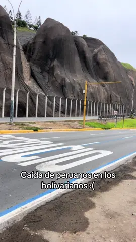 Efe#fy #peru #bolivarianos 