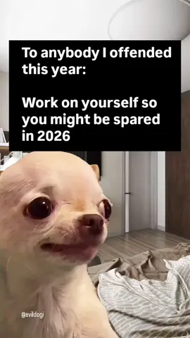 🤣Follow this page for more evil and hilarious memes and join the future global meme empire, before it’s too late and this page is hot and famous  😈😂 Evil Dog Merch in my Bio!⭐ #relateable #evildog #dark #diabolical #chihuahua 