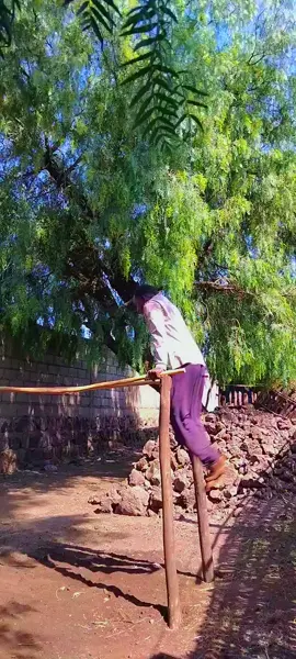 #creatorsearchinsights #200k #አስገቡኝ #ሼርኮፒሊንክ #አድርጉልኝ @@abela123 