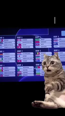 #Meme #MemeCut #CapCut  #كاس العالم2026