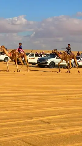 #بدو #سيناء #مصر #تحياتي #للمتابعين 