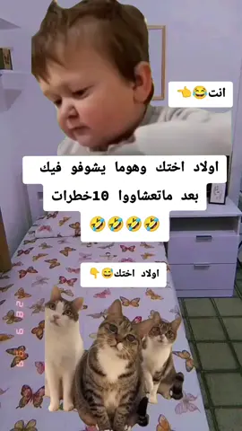 #Meme #MemeCut #CapCut  #viraltikto #viral  @ضحك وتمهبيل شرات والمعاني✌ 