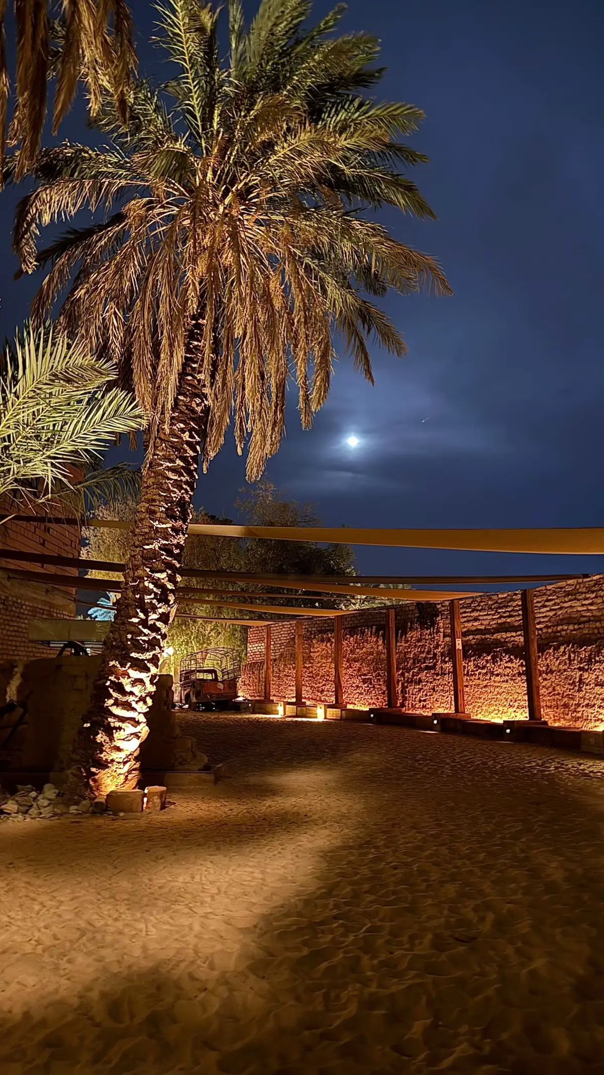 #viral #العلا #fyp #like #foryou 