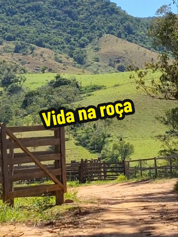 Não importa a plateia , sempre faça seu melhor 