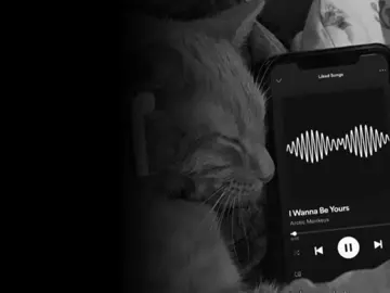 Vuela Vuela - Magneto ❤️   #fouryou #musica #comp #viralmusic #lyrics 