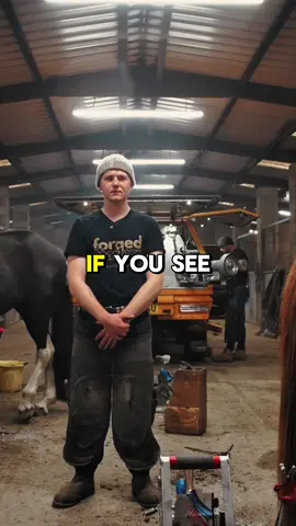We will shame you! #fyp #farrier #work #horse #equestrian 