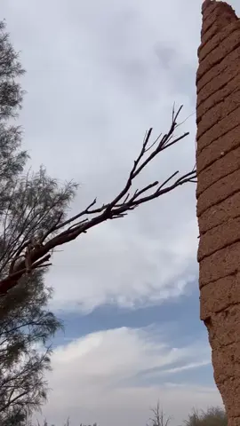 ياناس فكونا من النقد واللوم 😕💔#اكسبلور #حائل 