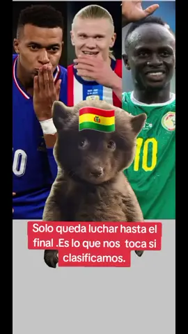 #Meme #MemeCut #CapCut #mundial2026🇲🇽🇺🇸🇨🇦 #bolivia🇧🇴💪😇