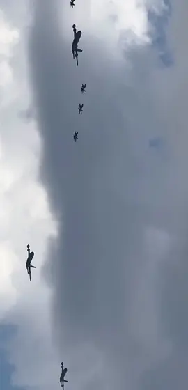 Bienvenidos🦅 #f-16 #fuerzaaereaargentina #aviones #viral 