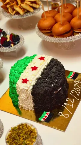 #الشام_فتح #تحرير_سوريا #ذكرى_تحرير_سوريا_8_12_2024💚 #حفلتنا #تصويري📷 