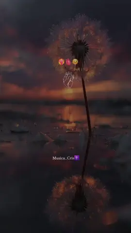 #musica yo sere tu sol#viraltiktok Tercer cielo#paratii 