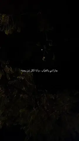 #explore #fyp #قصيد #شعر 