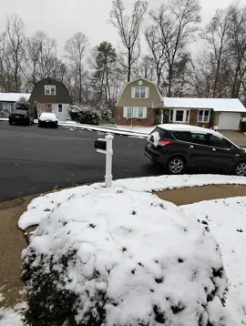 #امريكا #مصر ❄️❄️