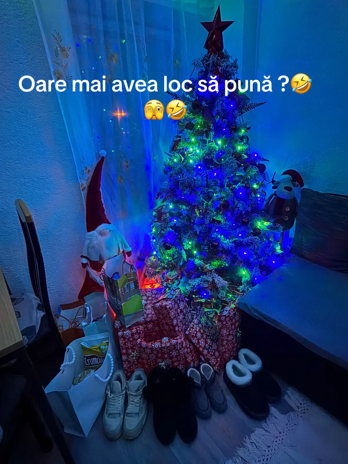 @3,14ZD🦴 @Ioana Carmen Popa 