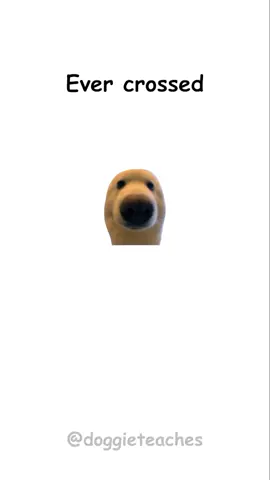 Doggie Explains How to Steal a Bridge (Satire) #fyp #dog #LearnOnTikTok #doggieteaches 