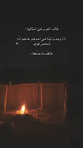 القوي لا يخاف من اظاهر لينه لانه يستطيع ان يحمي نفسه ولا يتأثر .. اما الضعيف يلبس قناع القسوة ليوهم محيطه انه لا ينكسر .. #fyp #explore #foryou #صباح_الخير #اكسبلور 